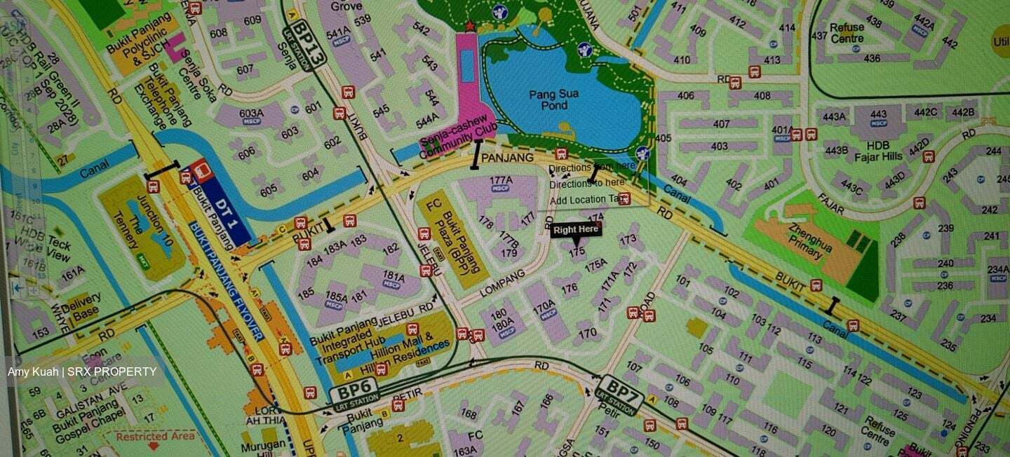 Blk 175 Lompang Road (Bukit Panjang), HDB 4 Rooms #486041321